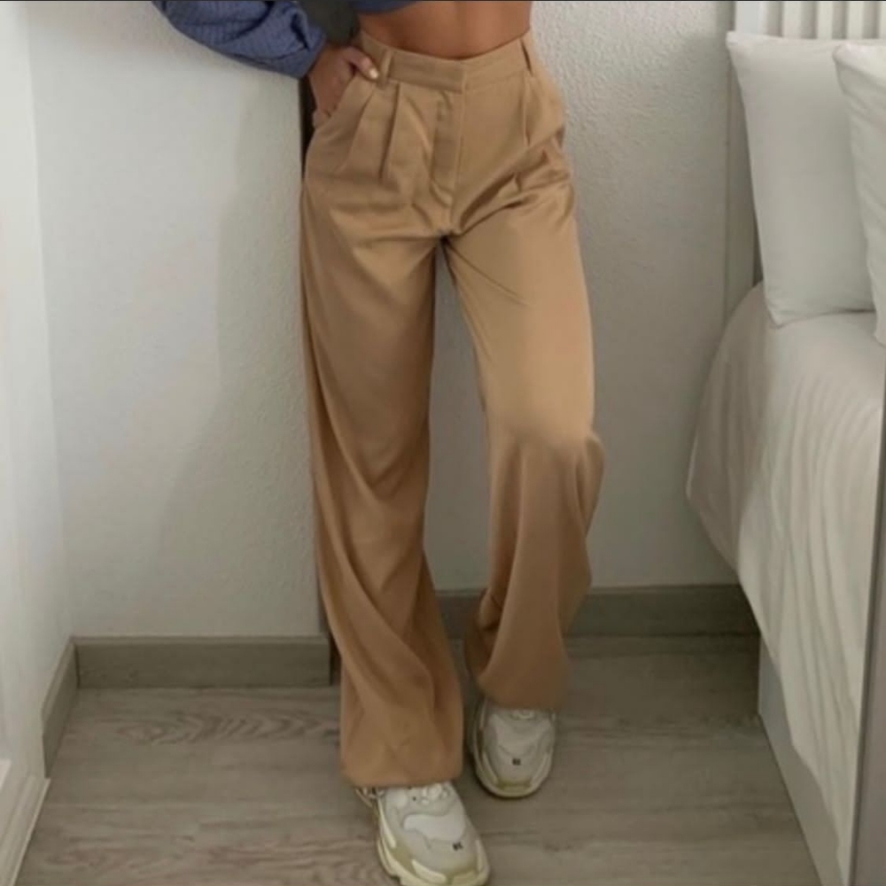 NWT Zara Wide Leg Pleated Pants Neutral Taupe size S